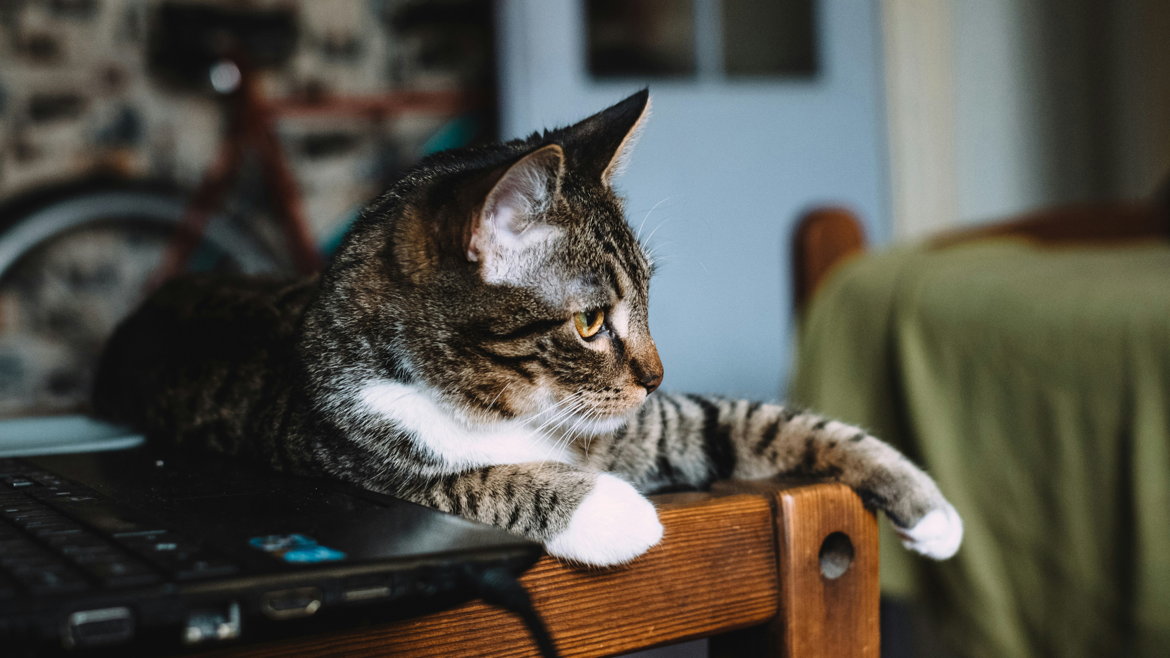 11迭代器与生成器