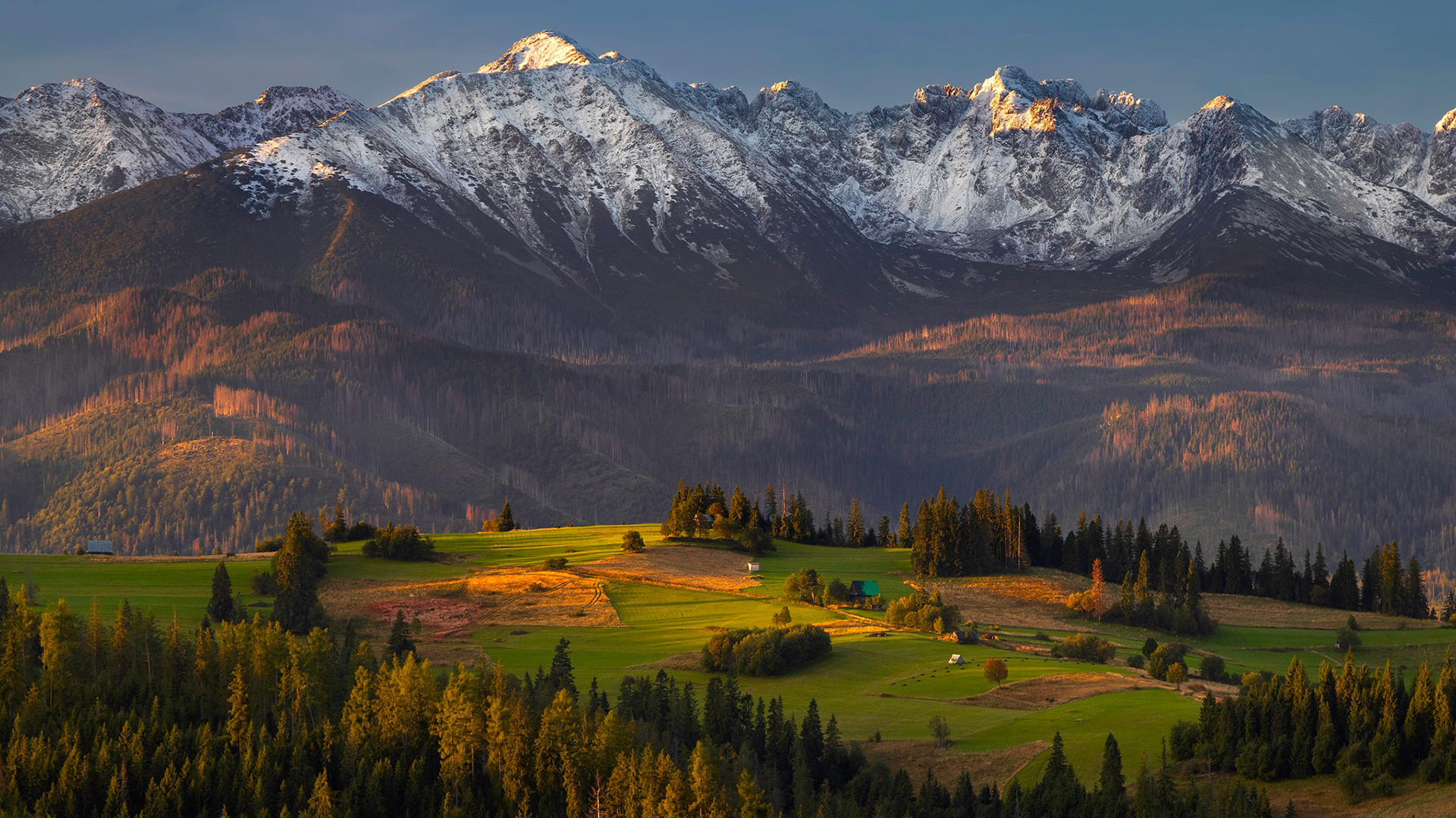 Shynet轻量化的访客监控系统