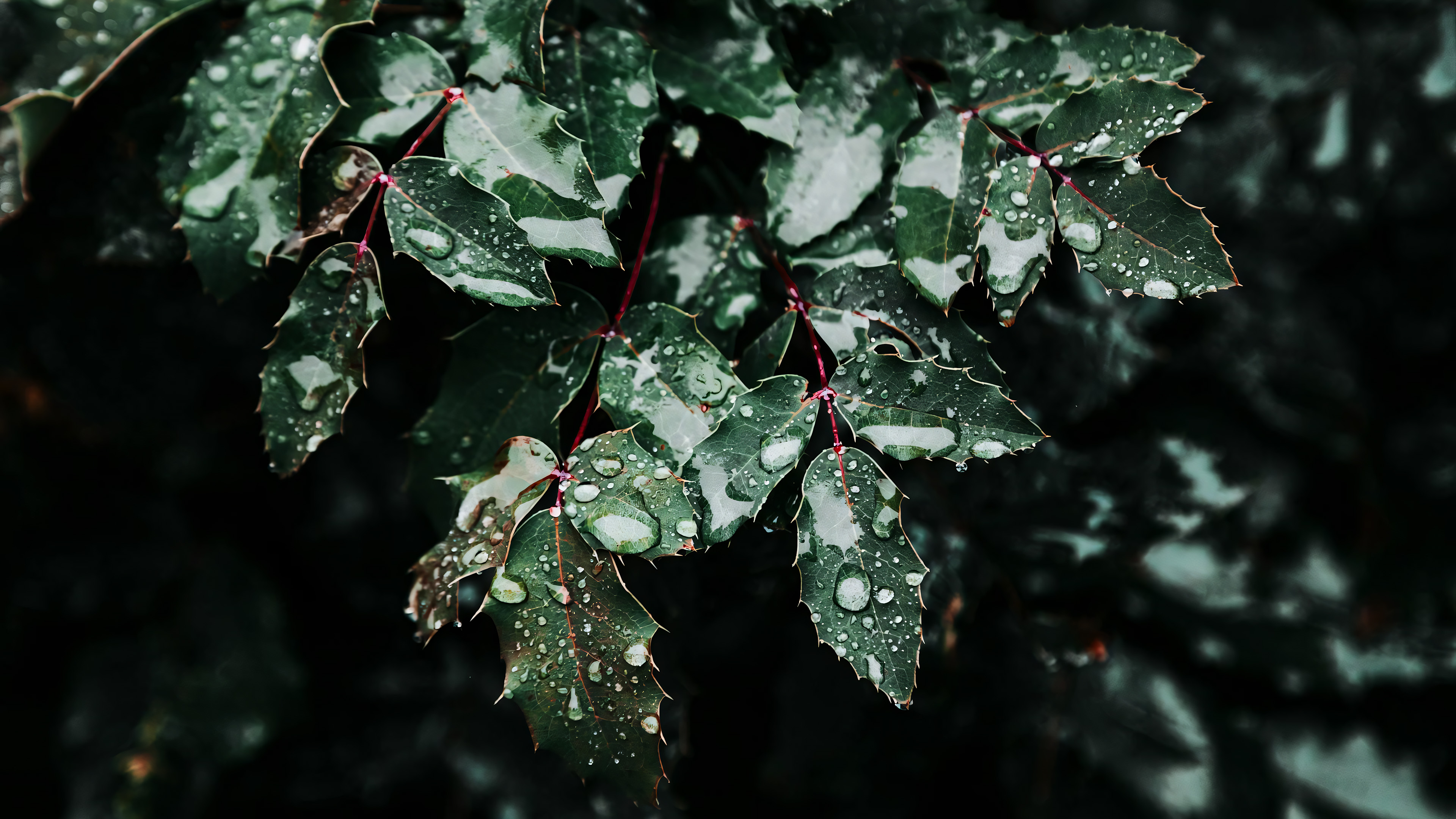 04流程控制语句